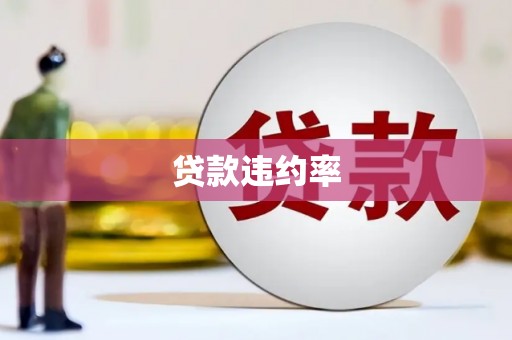 邵阳贷款违约率