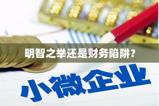 邵阳明智之举还是财务陷阱？