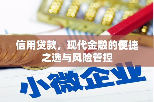 邵阳信用贷款，现代金融的便捷之选与风险管控