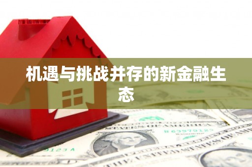 邵阳机遇与挑战并存的新金融生态