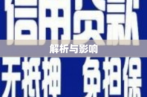 邵阳解析与影响