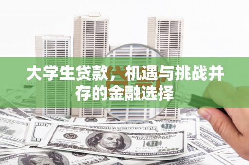 邵阳大学生贷款，机遇与挑战并存的金融选择