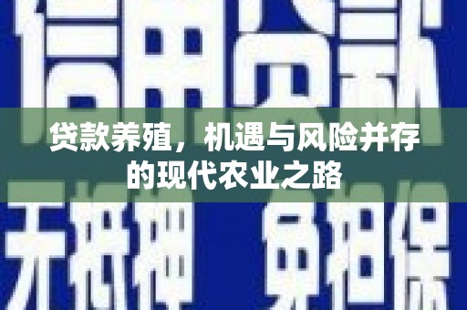 邵阳贷款养殖，机遇与风险并存的现代农业之路