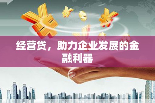 邵阳经营贷，助力企业发展的金融利器