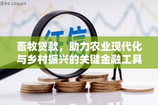 邵阳畜牧贷款，助力农业现代化与乡村振兴的关键金融工具
