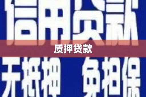邵阳质押贷款