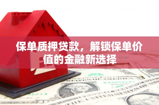 邵阳保单质押贷款，解锁保单价值的金融新选择
