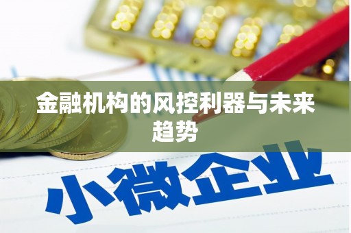 邵阳金融机构的风控利器与未来趋势