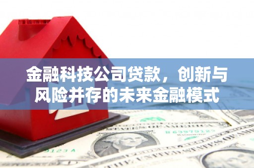 邵阳金融科技公司贷款，创新与风险并存的未来金融模式