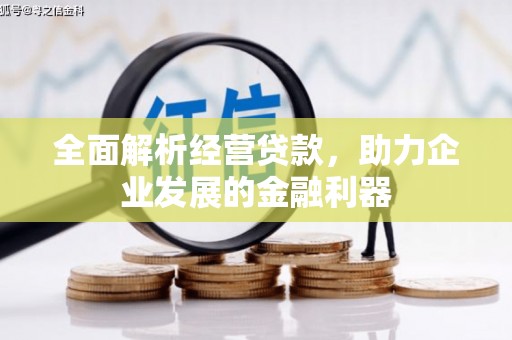 邵阳全面解析经营贷款，助力企业发展的金融利器