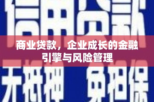 邵阳商业贷款，企业成长的金融引擎与风险管理