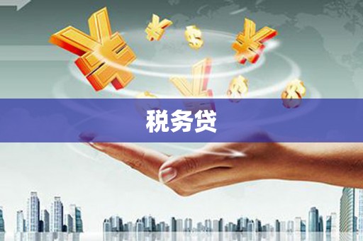 邵阳税务贷