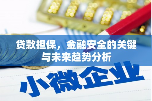 邵阳贷款担保，金融安全的关键与未来趋势分析