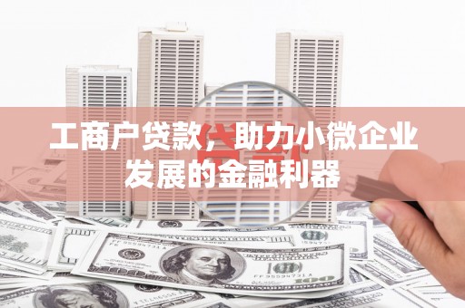 邵阳工商户贷款，助力小微企业发展的金融利器
