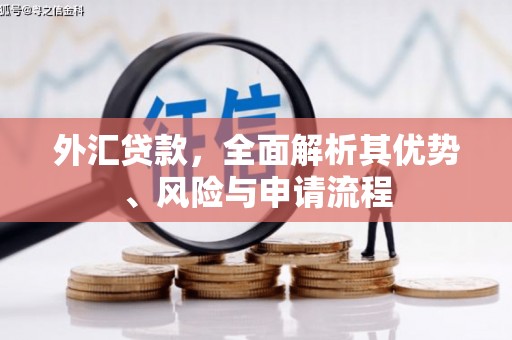 邵阳外汇贷款，全面解析其优势、风险与申请流程