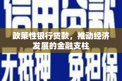 邵阳政策性银行贷款，推动经济发展的金融支柱