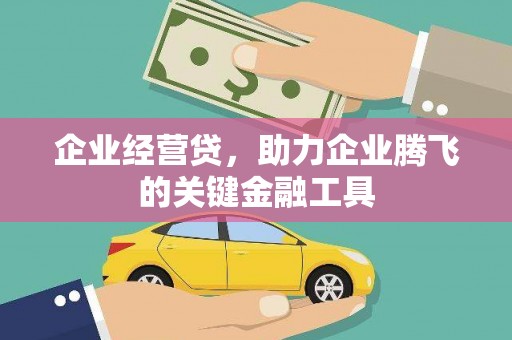 邵阳企业经营贷，助力企业腾飞的关键金融工具