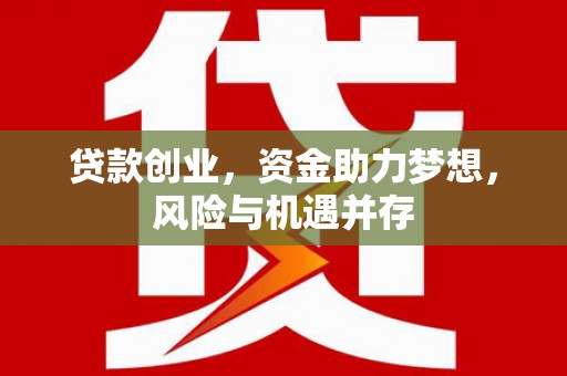邵阳贷款创业，资金助力梦想，风险与机遇并存