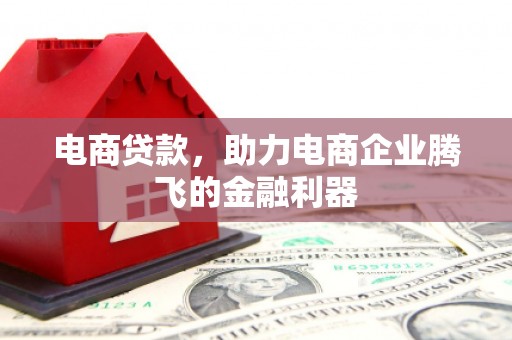 邵阳电商贷款，助力电商企业腾飞的金融利器