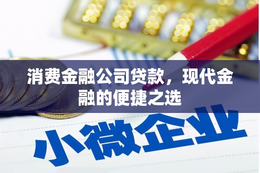 邵阳消费金融公司贷款，现代金融的便捷之选