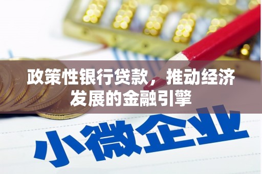 邵阳政策性银行贷款，推动经济发展的金融引擎