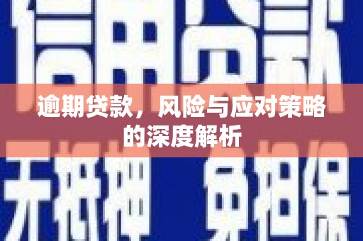 邵阳逾期贷款，风险与应对策略的深度解析