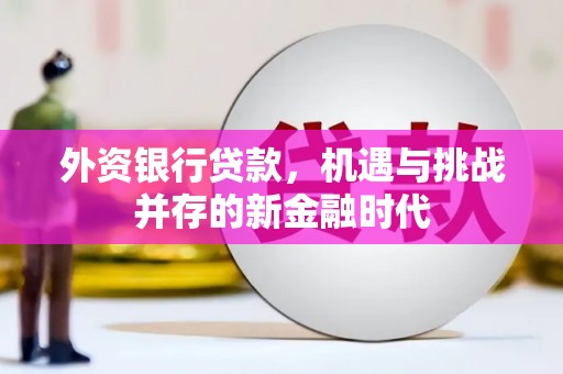 邵阳外资银行贷款，机遇与挑战并存的新金融时代