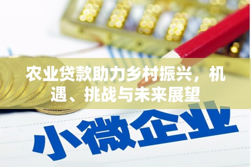 邵阳农业贷款助力乡村振兴，机遇、挑战与未来展望