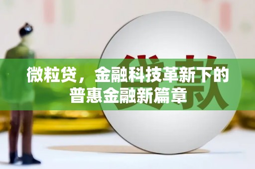 邵阳微粒贷，金融科技革新下的普惠金融新篇章