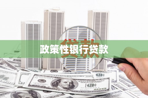 邵阳政策性银行贷款