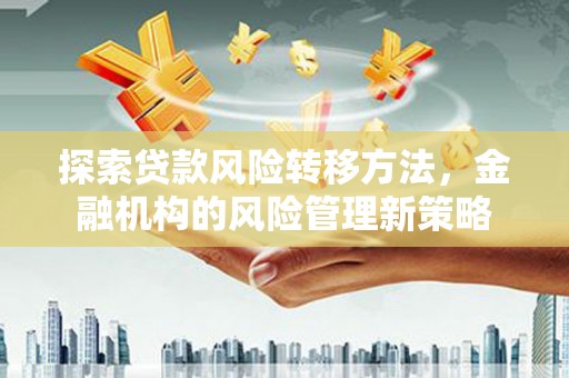 邵阳探索贷款风险转移方法，金融机构的风险管理新策略