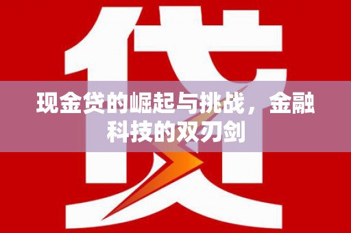 邵阳现金贷的崛起与挑战，金融科技的双刃剑