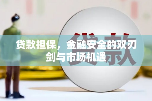 邵阳贷款担保，金融安全的双刃剑与市场机遇