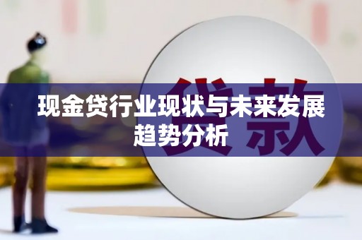 邵阳现金贷行业现状与未来发展趋势分析
