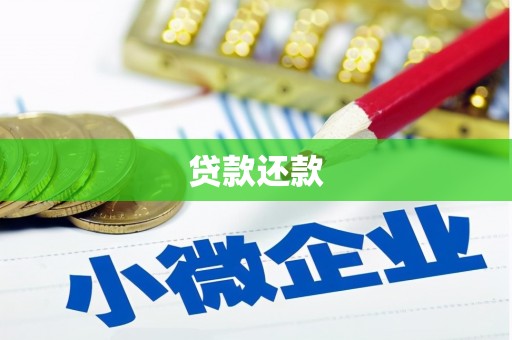 邵阳贷款还款