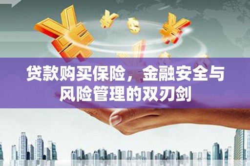 邵阳贷款购买保险，金融安全与风险管理的双刃剑