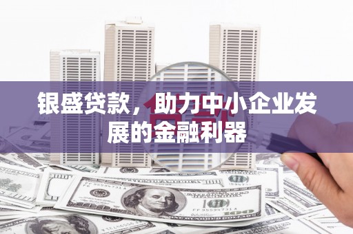 邵阳银盛贷款，助力中小企业发展的金融利器