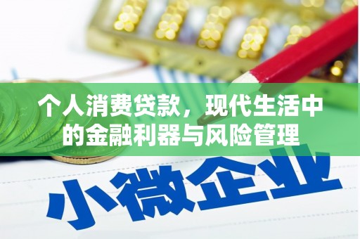 邵阳个人消费贷款，现代生活中的金融利器与风险管理