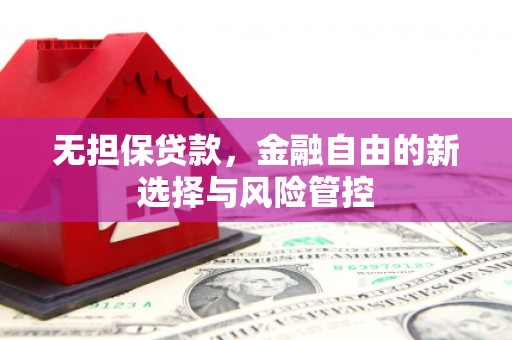 邵阳无担保贷款，金融自由的新选择与风险管控