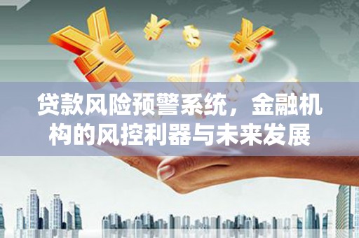 邵阳贷款风险预警系统，金融机构的风控利器与未来发展