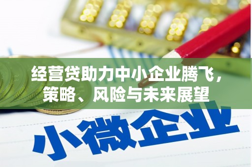 邵阳经营贷助力中小企业腾飞，策略、风险与未来展望