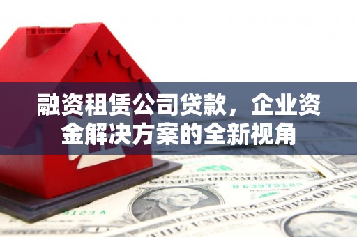 邵阳融资租赁公司贷款，企业资金解决方案的全新视角