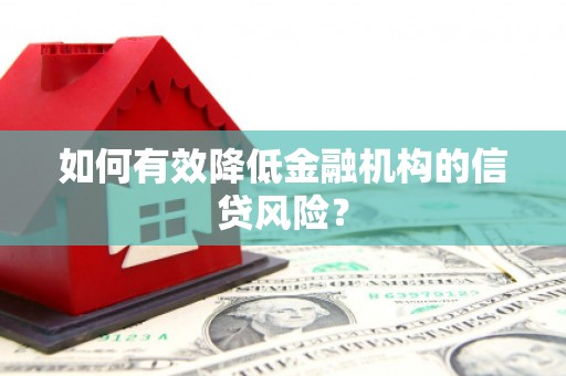 邵阳如何有效降低金融机构的信贷风险？