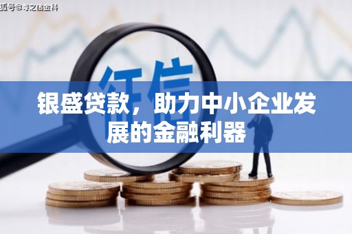 邵阳银盛贷款，助力中小企业发展的金融利器