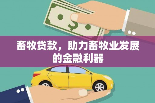 邵阳畜牧贷款，助力畜牧业发展的金融利器