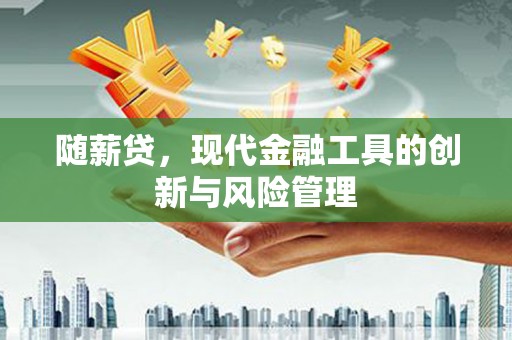 邵阳随薪贷，现代金融工具的创新与风险管理