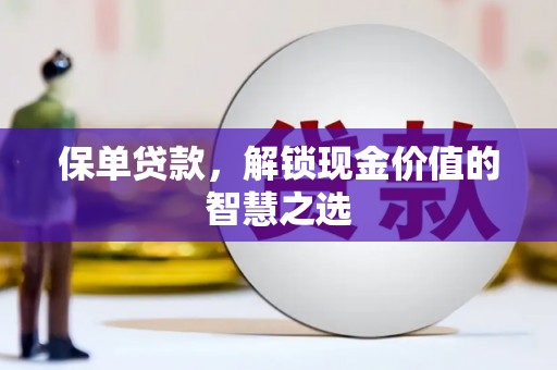 邵阳保单贷款，解锁现金价值的智慧之选