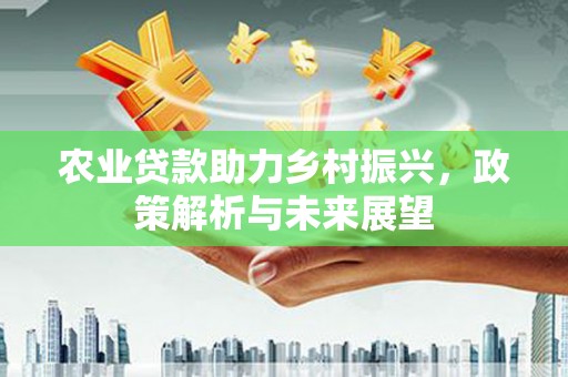 邵阳农业贷款助力乡村振兴，政策解析与未来展望