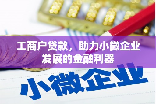 邵阳工商户贷款，助力小微企业发展的金融利器