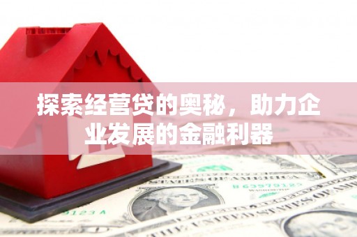 邵阳探索经营贷的奥秘，助力企业发展的金融利器